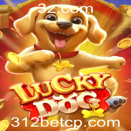 312bet login Casino Withdrawal